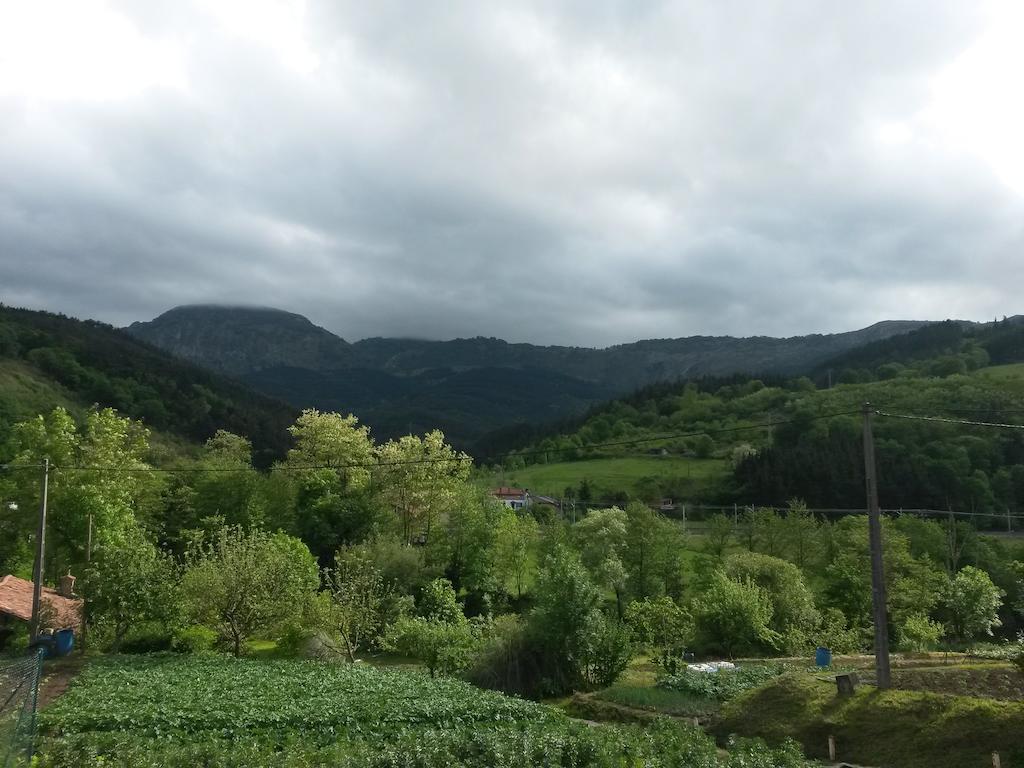 Pension Bide-Ondo Amorebieta-Etxano Luaran gambar